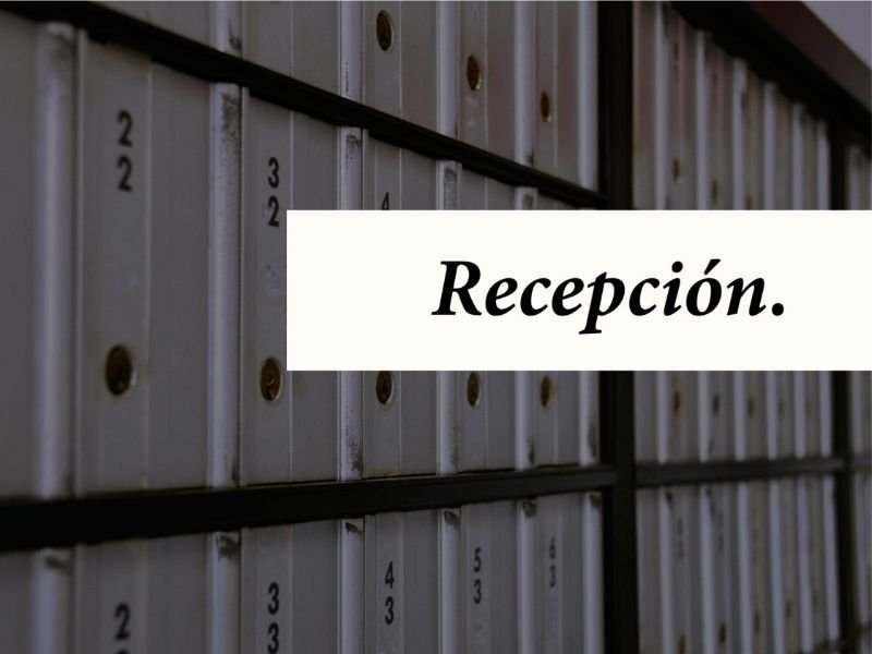 seis_letras_recepcion