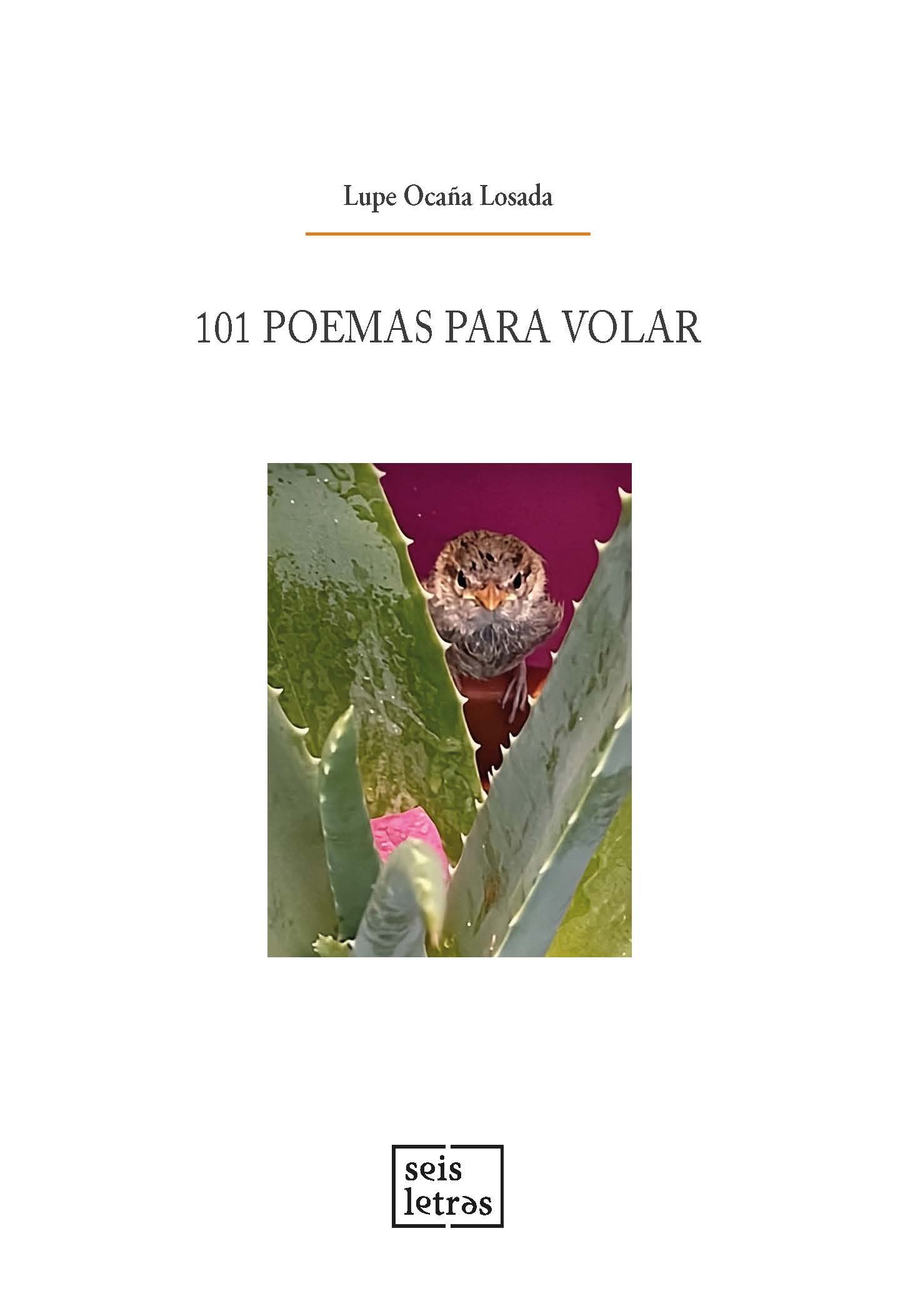 9791388209178_101poemas 101 poemas para volar - Imagen 1